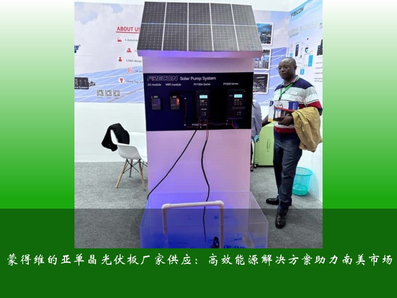蒙得维的亚单晶光伏板厂家供应：高效能源解决方案助力南美市场