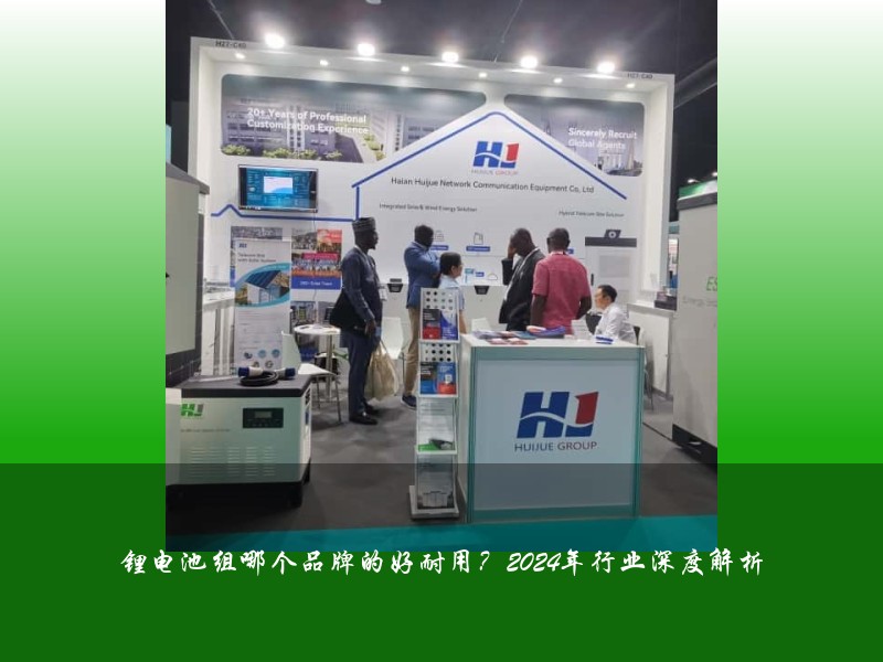 锂电池组哪个品牌的好耐用？2024年行业深度解析